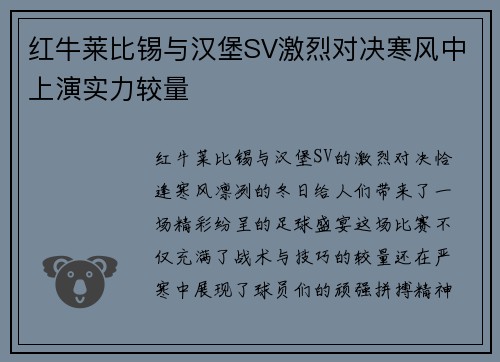 红牛莱比锡与汉堡SV激烈对决寒风中上演实力较量
