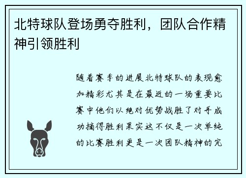 北特球队登场勇夺胜利，团队合作精神引领胜利