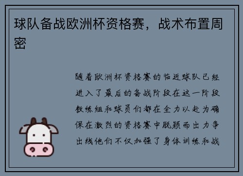球队备战欧洲杯资格赛，战术布置周密
